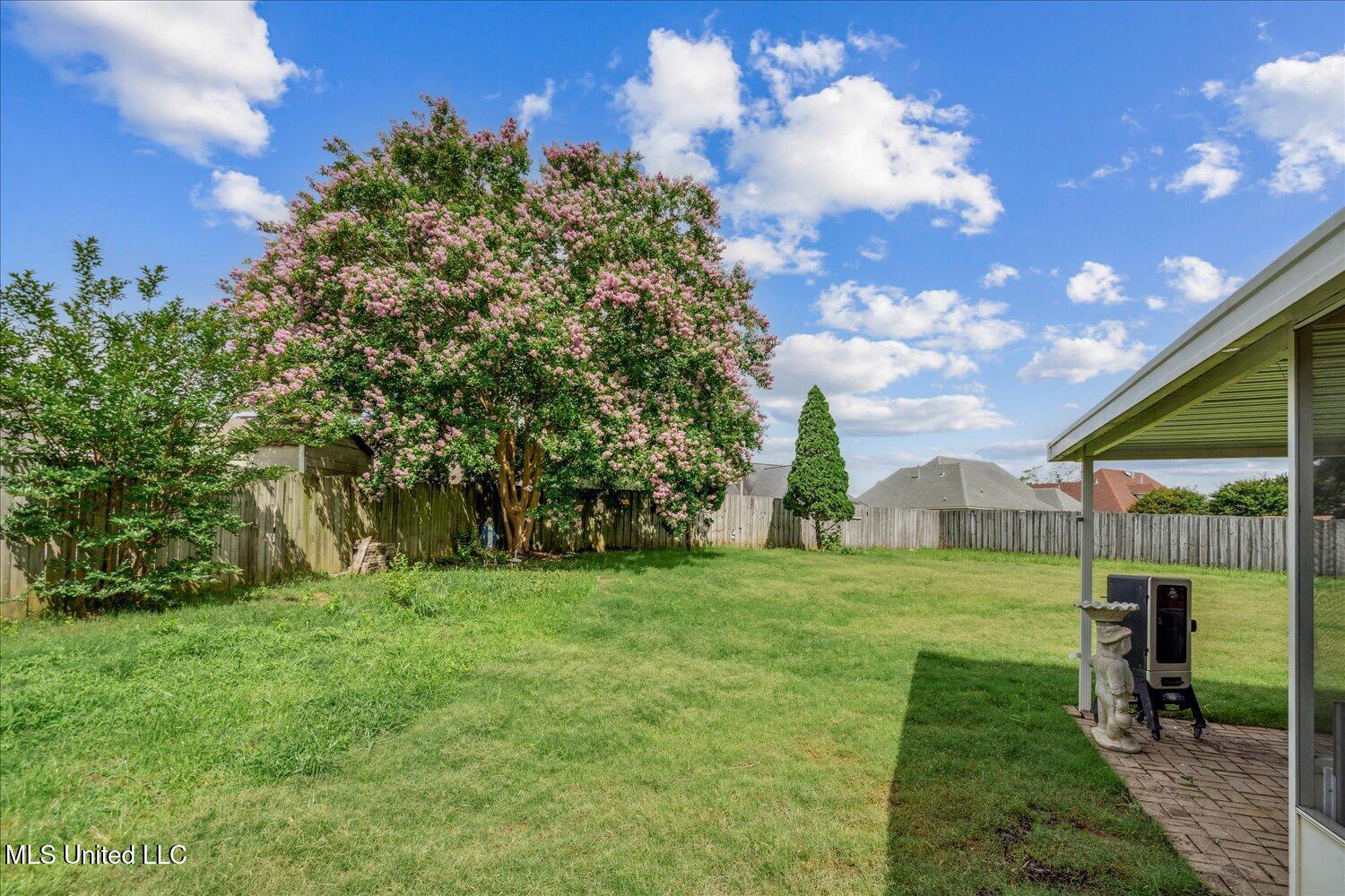 9015 Champlain Drive, Olive Branch, Mississippi image 33