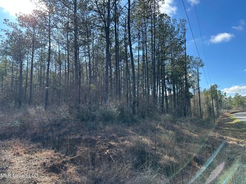 Vacant Land For Sale - Emile Davis Road<br/> Pearl River County, Poplarville, MS 39470