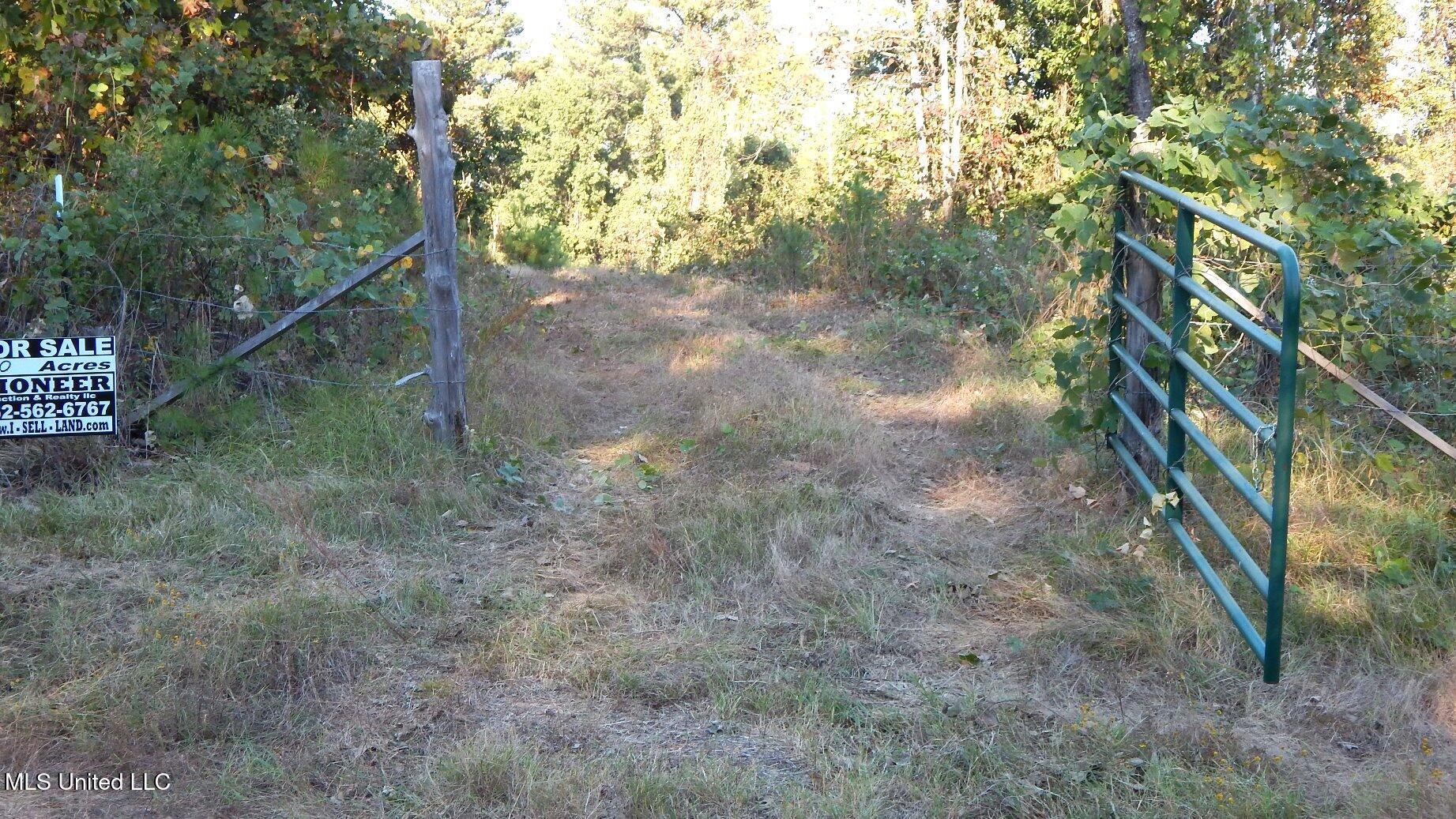 40 Ac. 154 Country Road, Coffeeville, Mississippi image 31