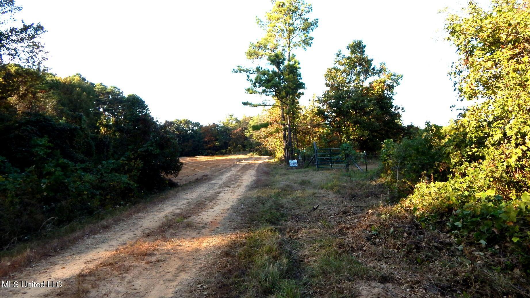 40 Ac. 154 Country Road, Coffeeville, Mississippi image 33