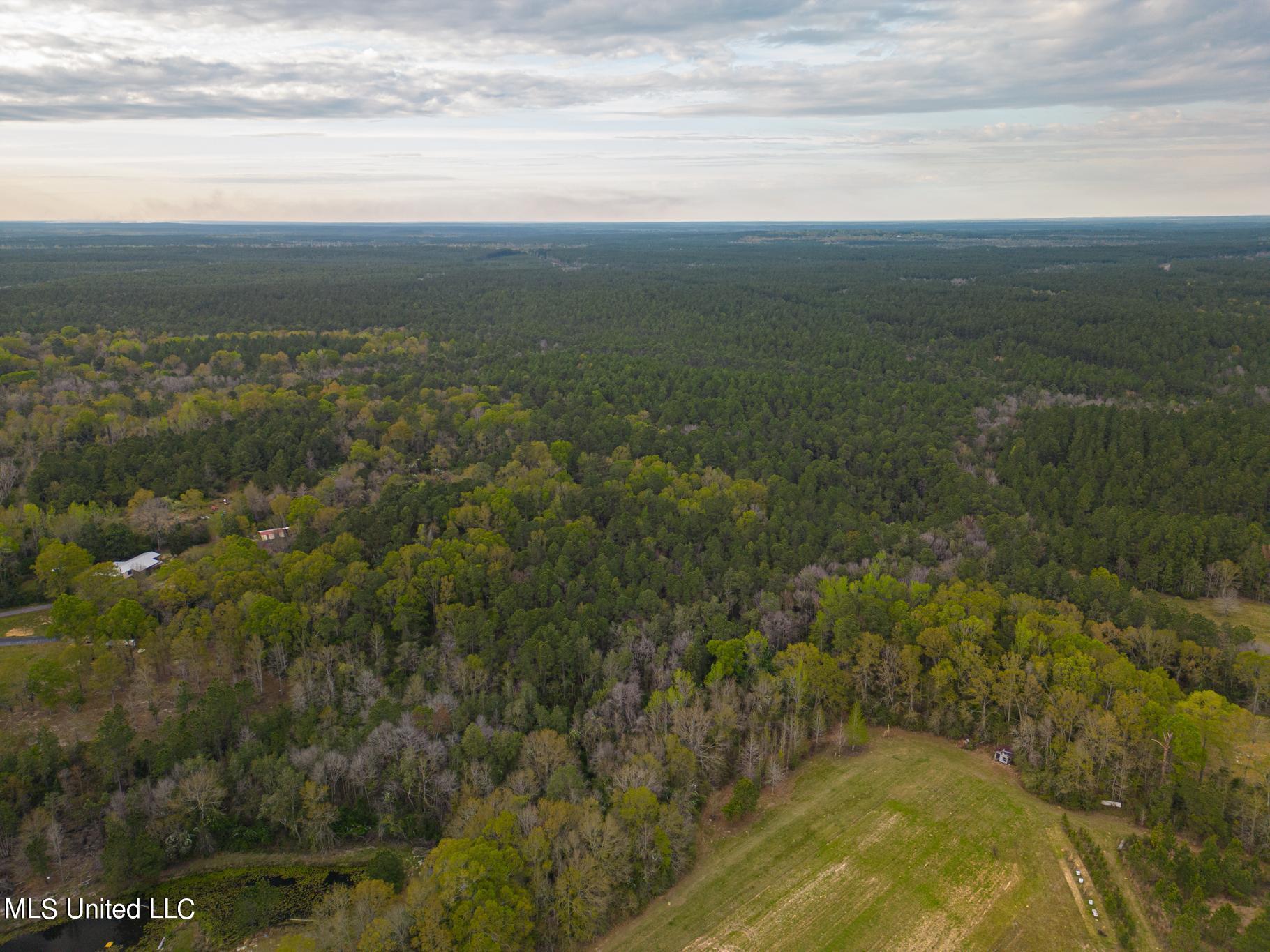 Reeves Road, Vancleave, Mississippi image 5