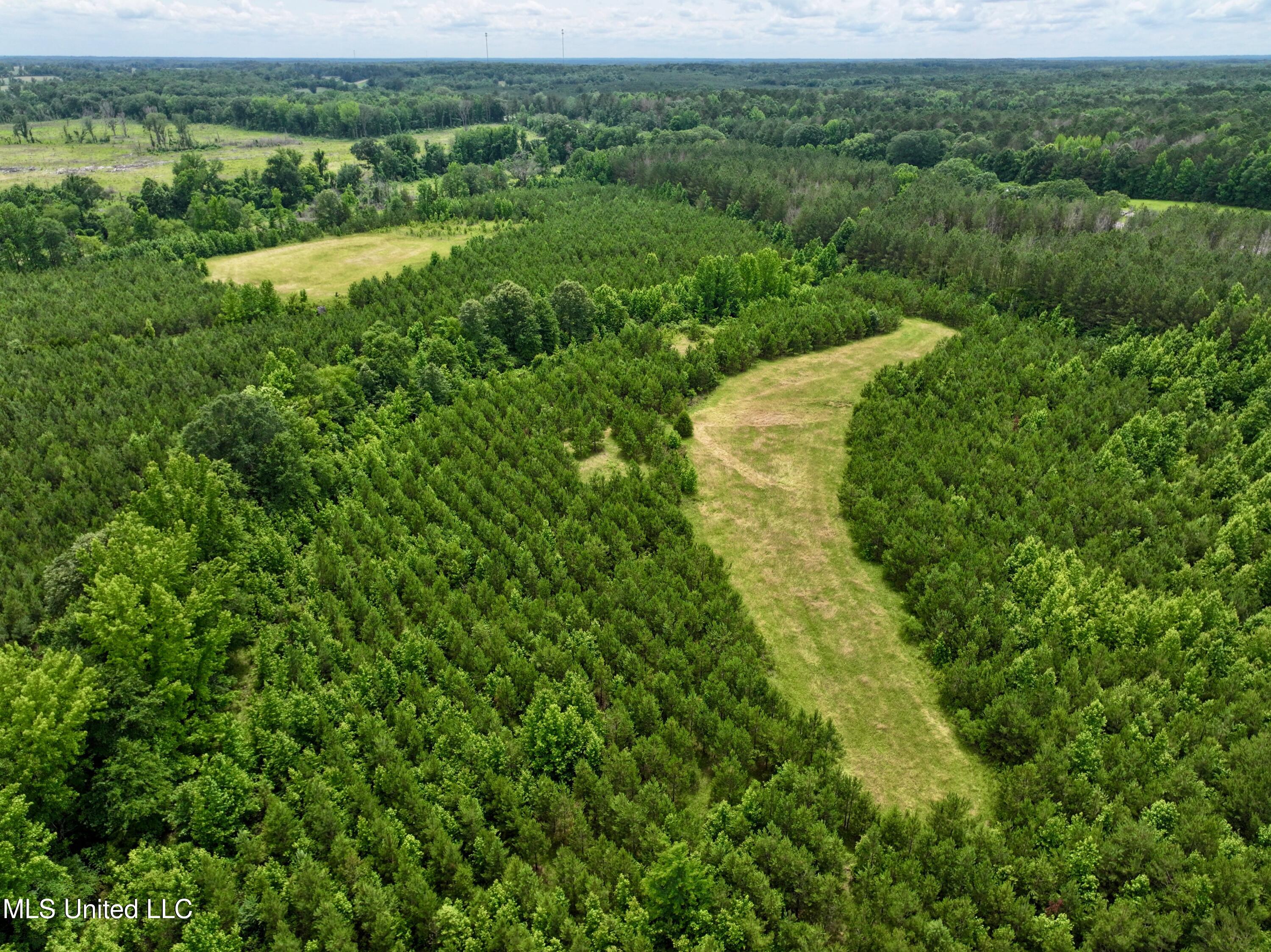 Franklin Road, Goodman, Mississippi image 11