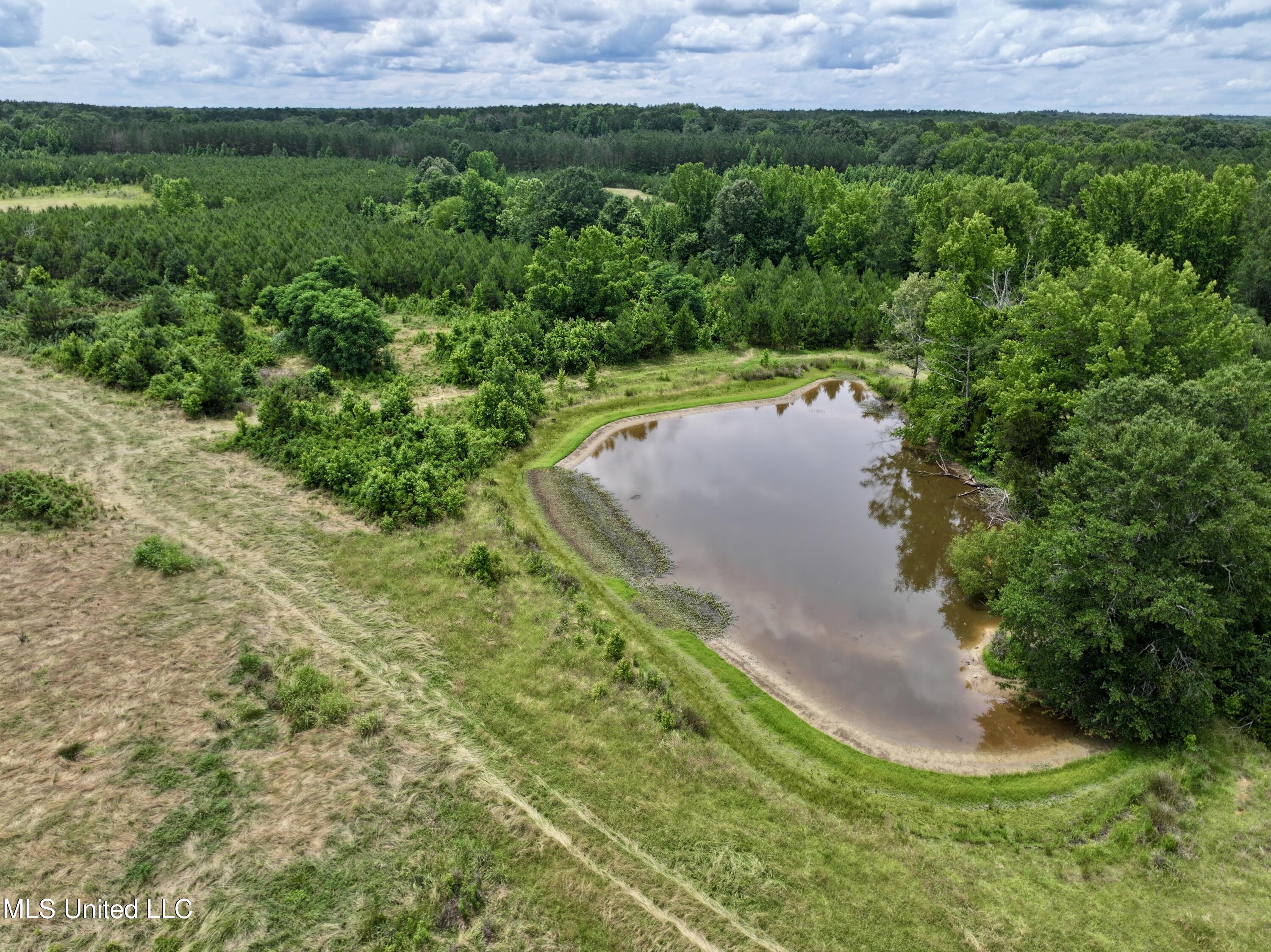 Franklin Road, Goodman, Mississippi image 1