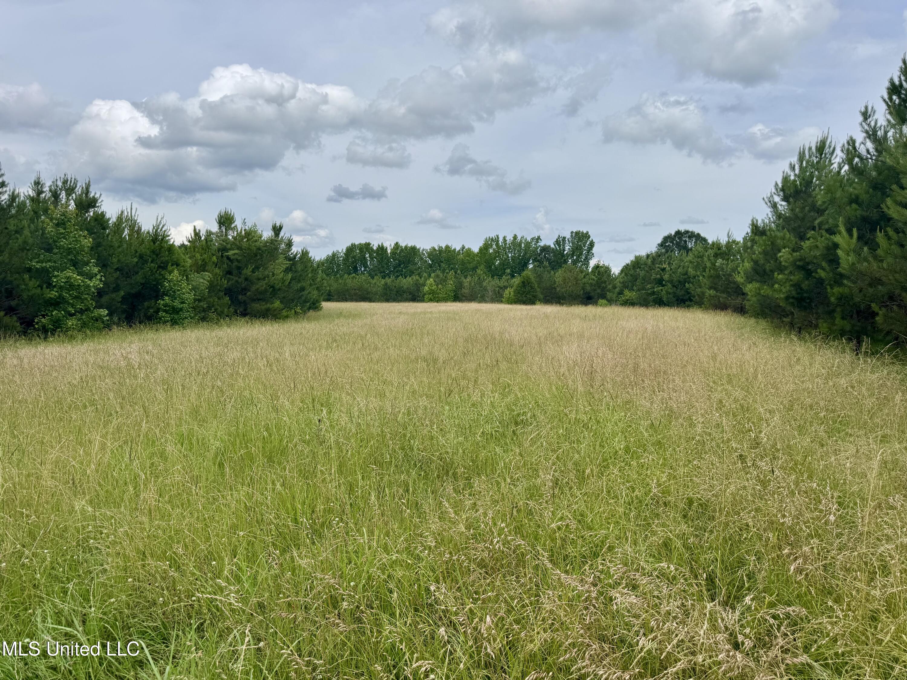 Franklin Road, Goodman, Mississippi image 20