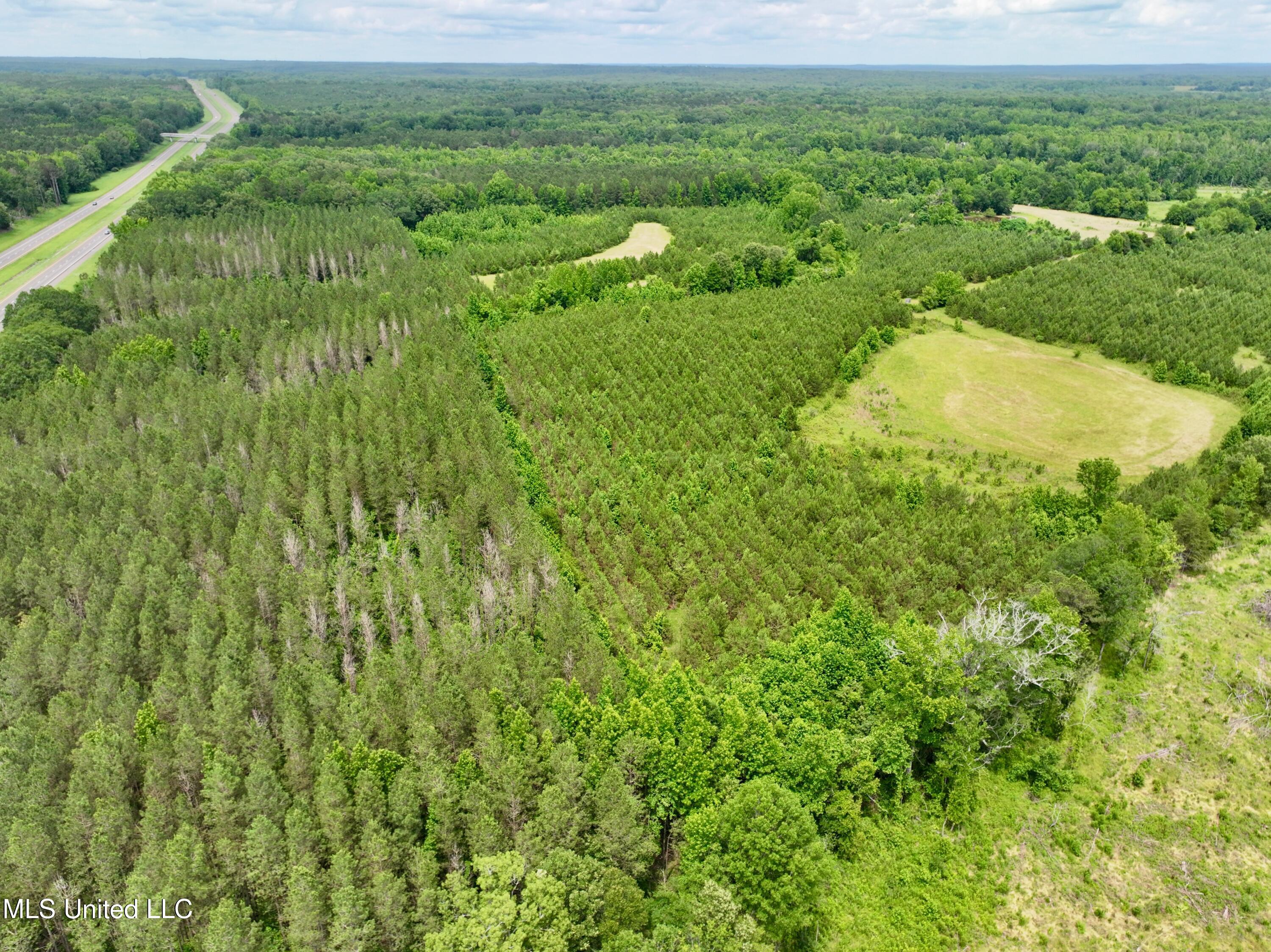 Franklin Road, Goodman, Mississippi image 14