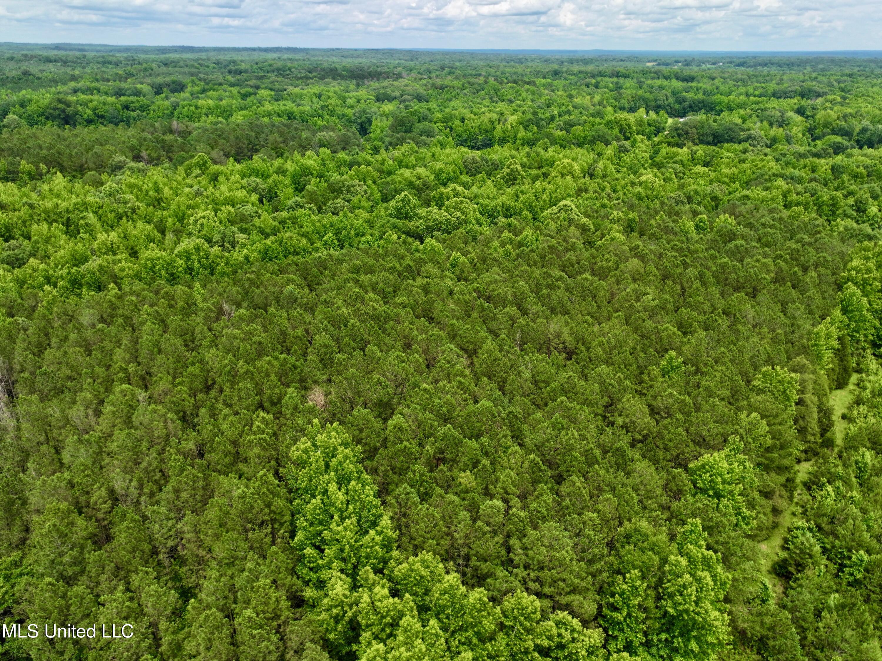 Franklin Road, Goodman, Mississippi image 15