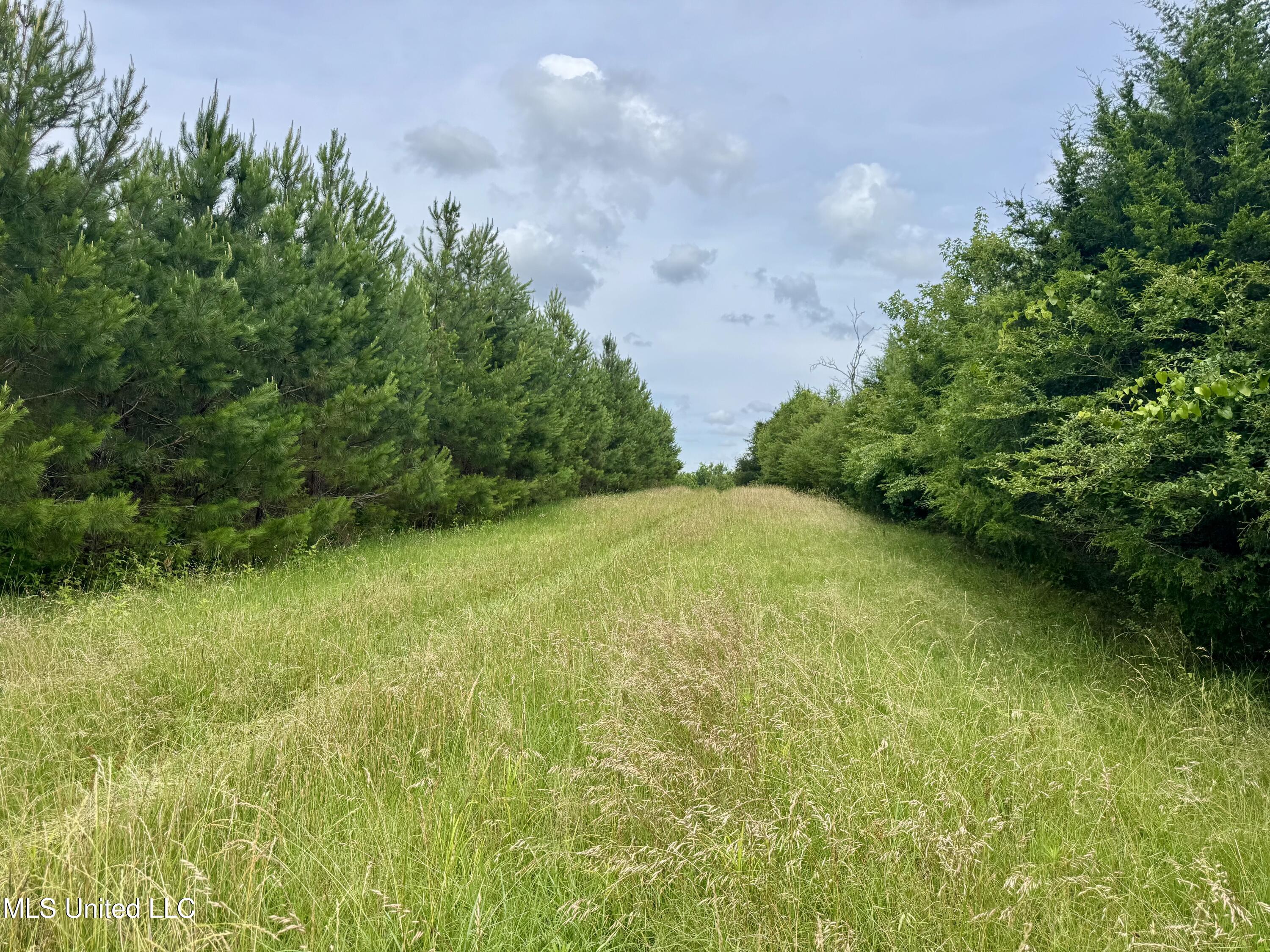 Franklin Road, Goodman, Mississippi image 22