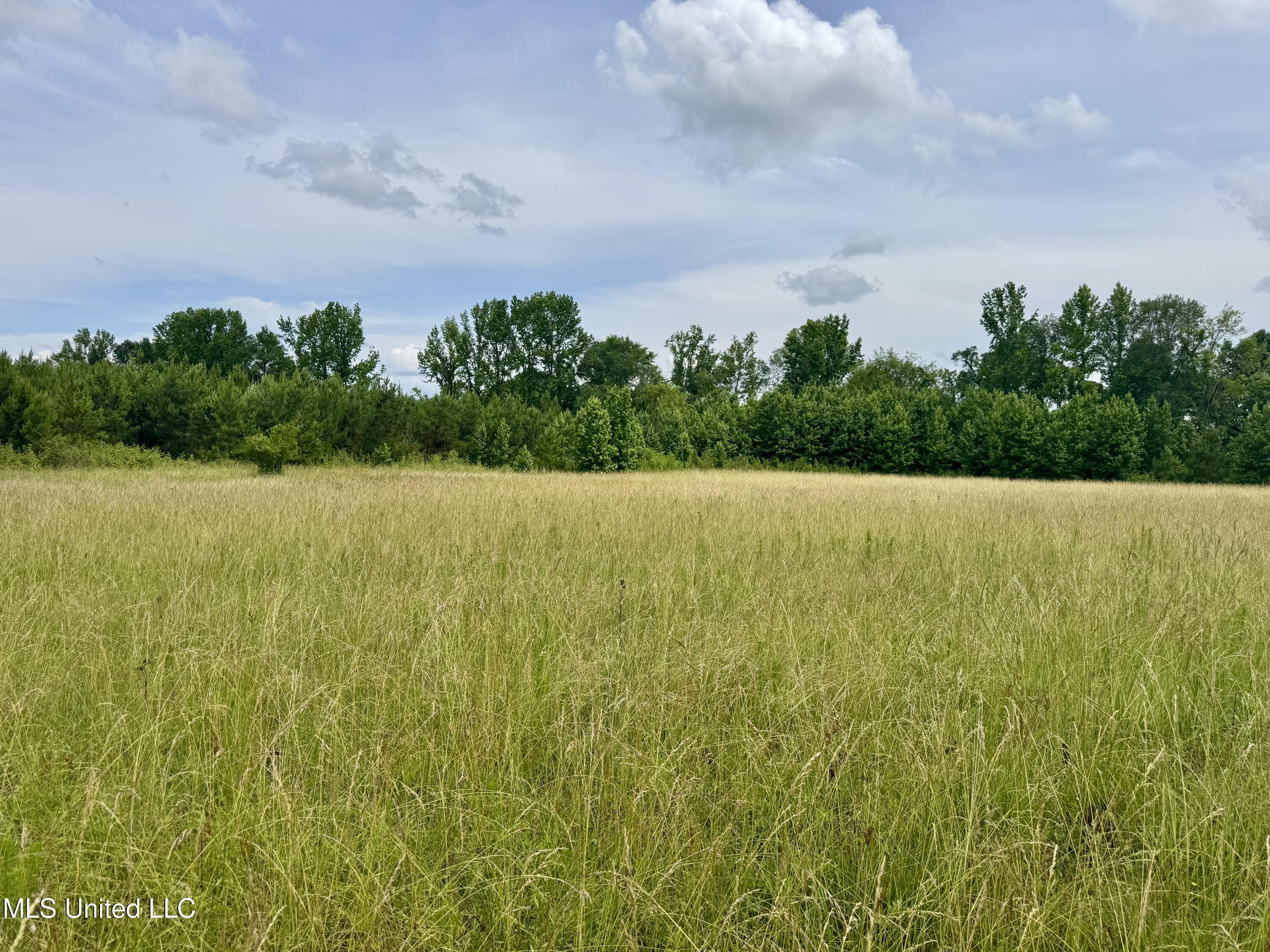 Franklin Road, Goodman, Mississippi image 18
