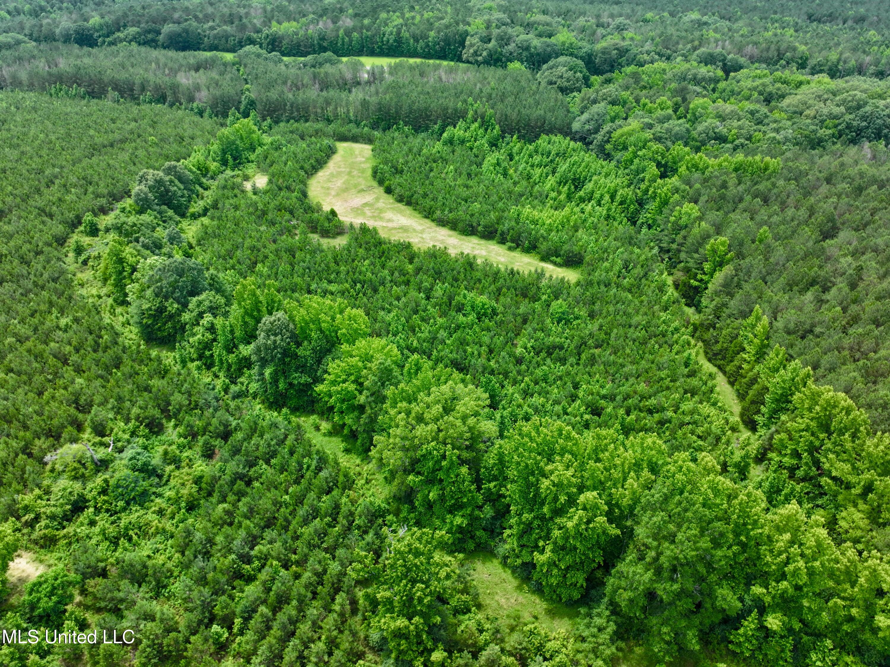 Franklin Road, Goodman, Mississippi image 10
