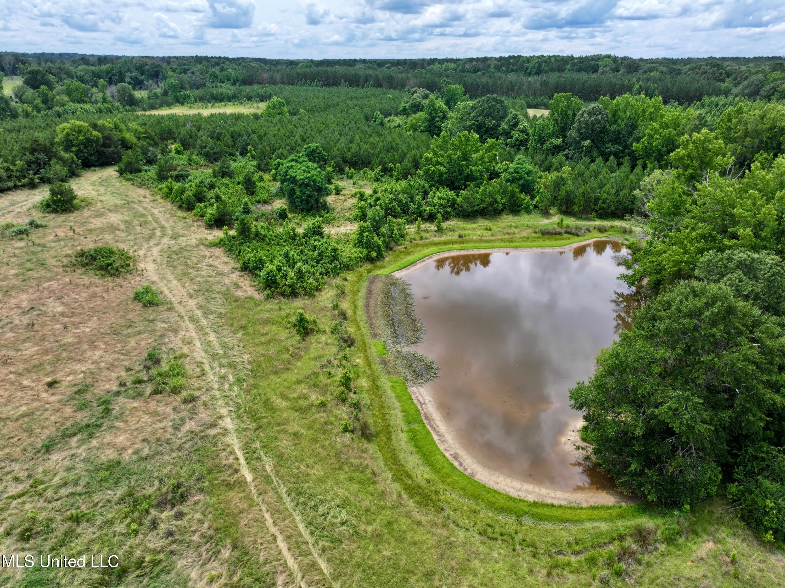 Franklin Road, Goodman, Mississippi image 5