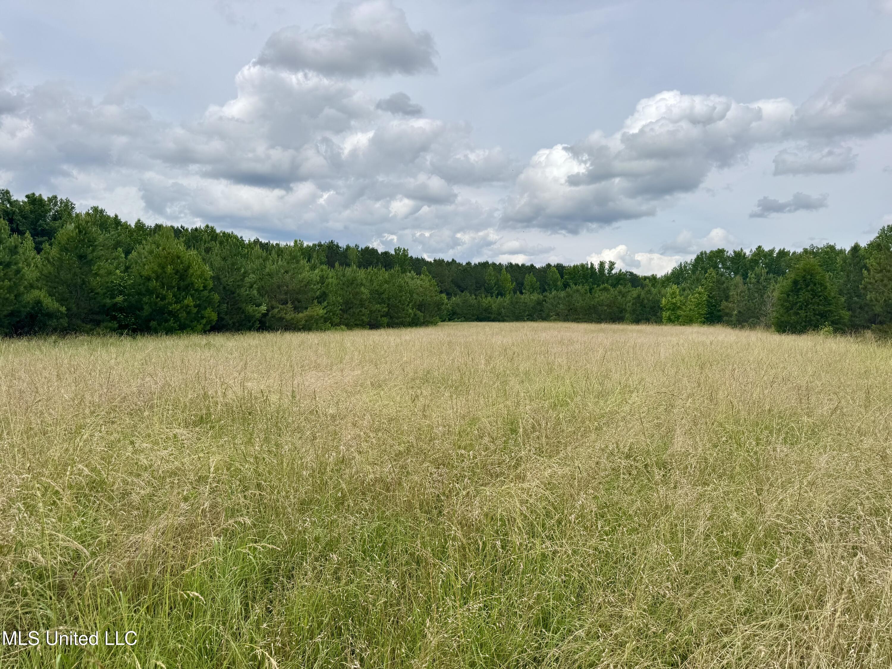 Franklin Road, Goodman, Mississippi image 21