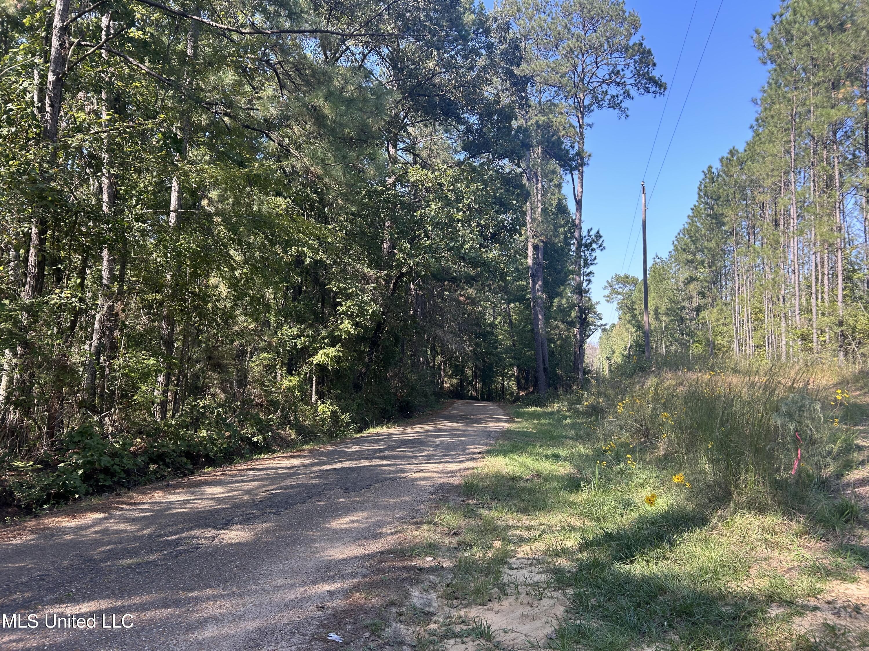 Rials Road, Georgetown, Mississippi image 11