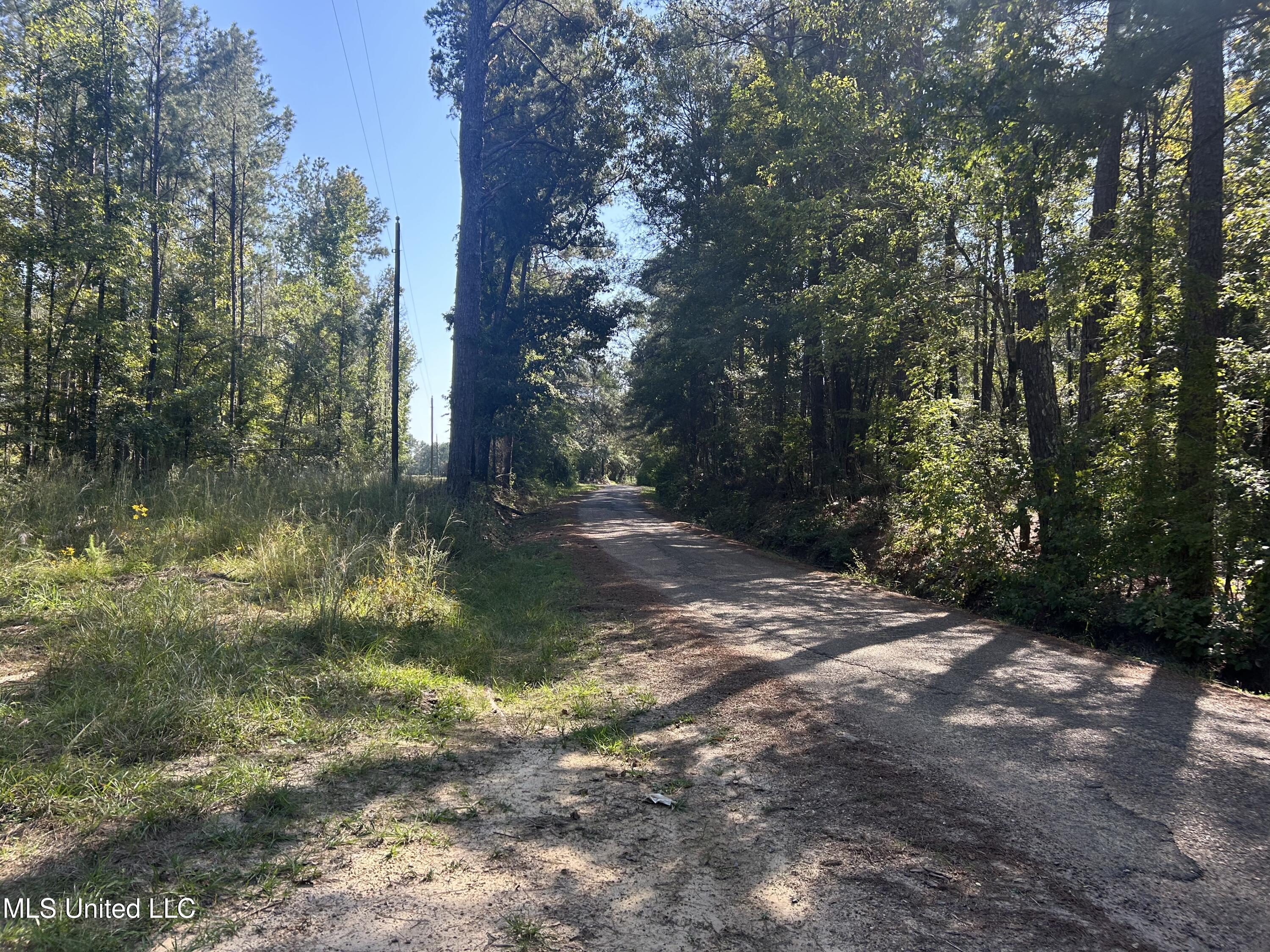 Rials Road, Georgetown, Mississippi image 12