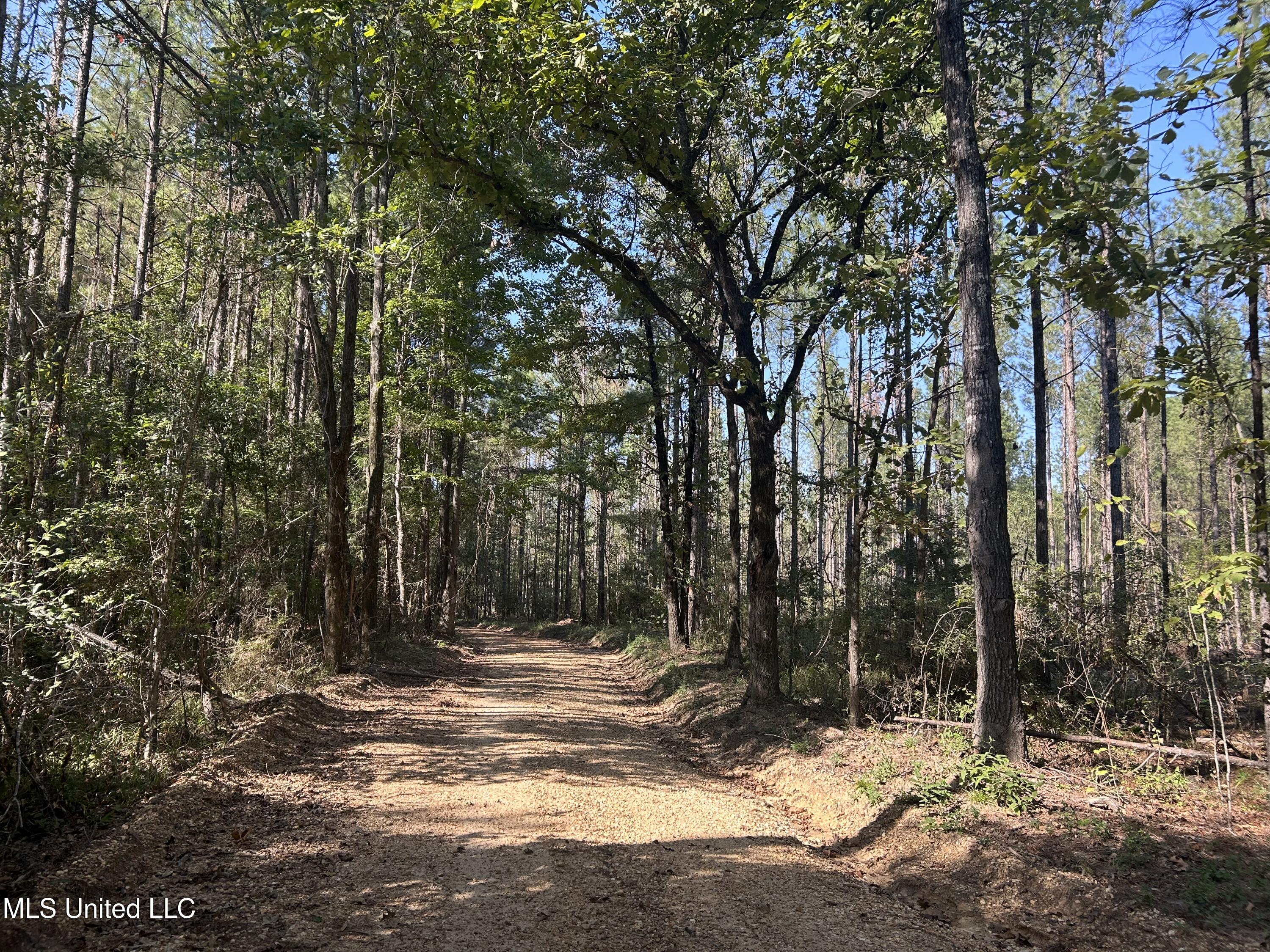 Rials Road, Georgetown, Mississippi image 13