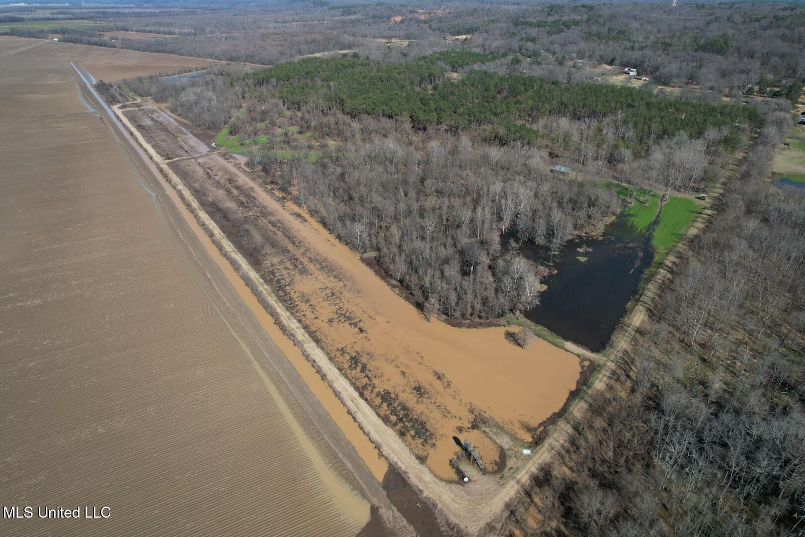 County Road 176, Cruger, Mississippi image 24