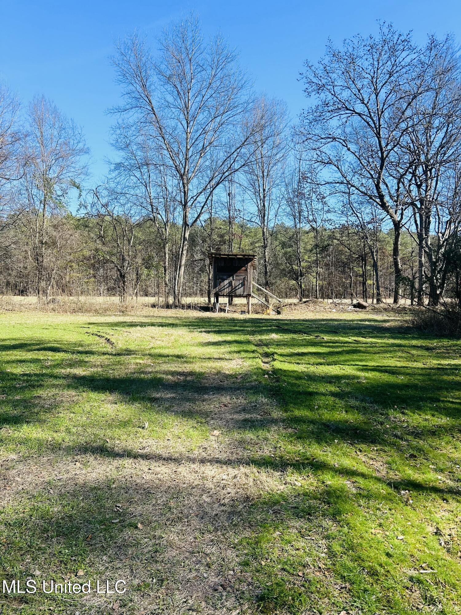 County Road 176, Cruger, Mississippi image 19