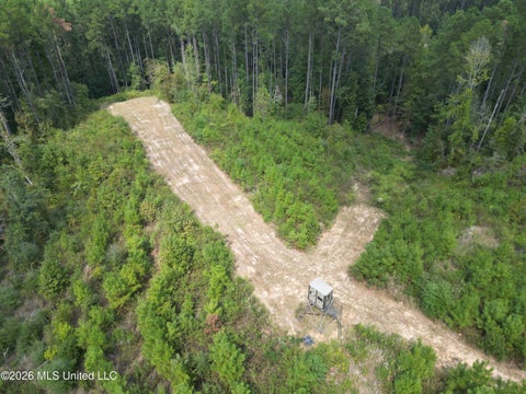 Vacant Land For Sale - 6085 Oxford-meadville Road<br/> Gloster, MS 39638