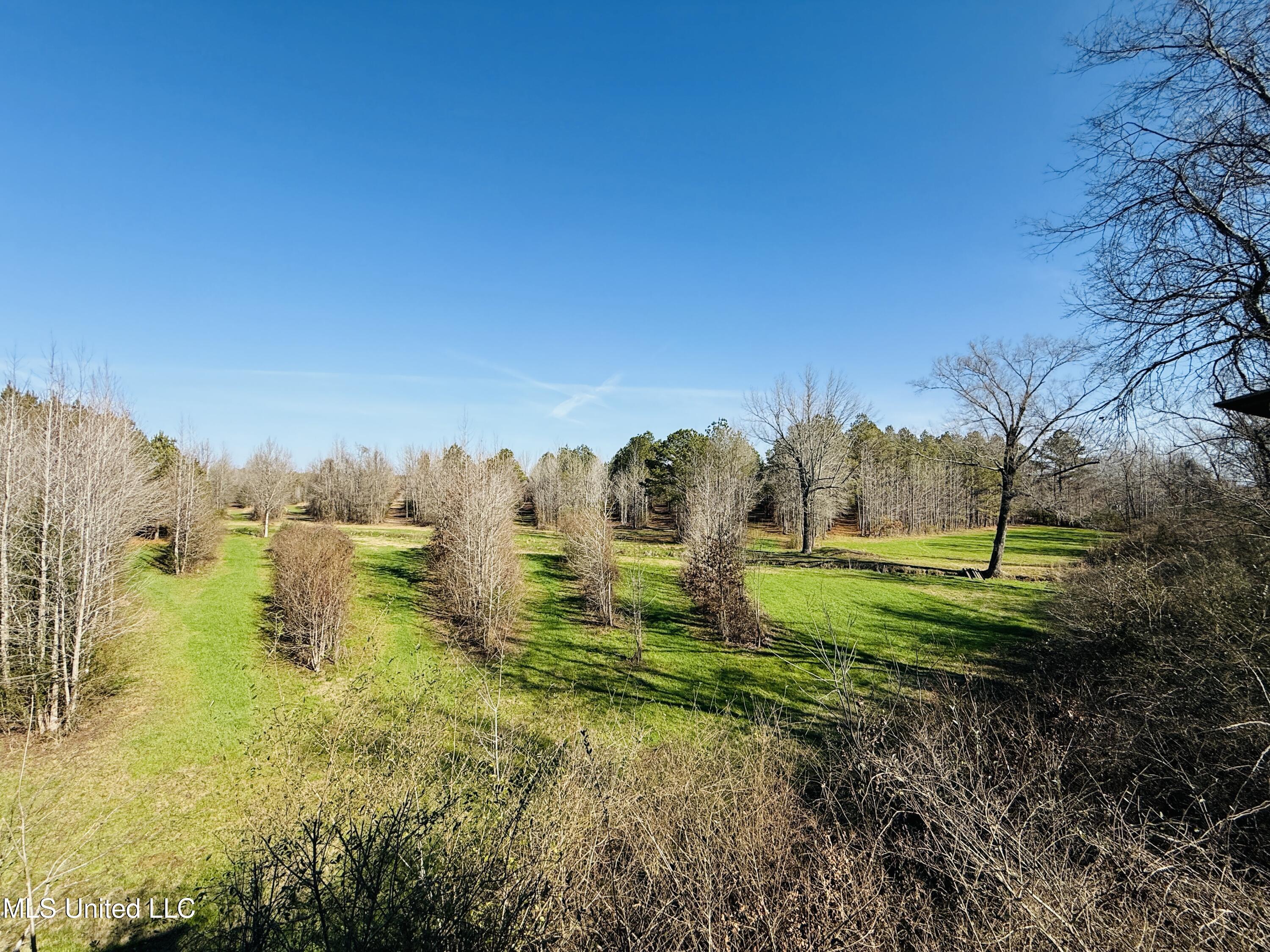 13572 Highway 51, Goodman, Mississippi image 49