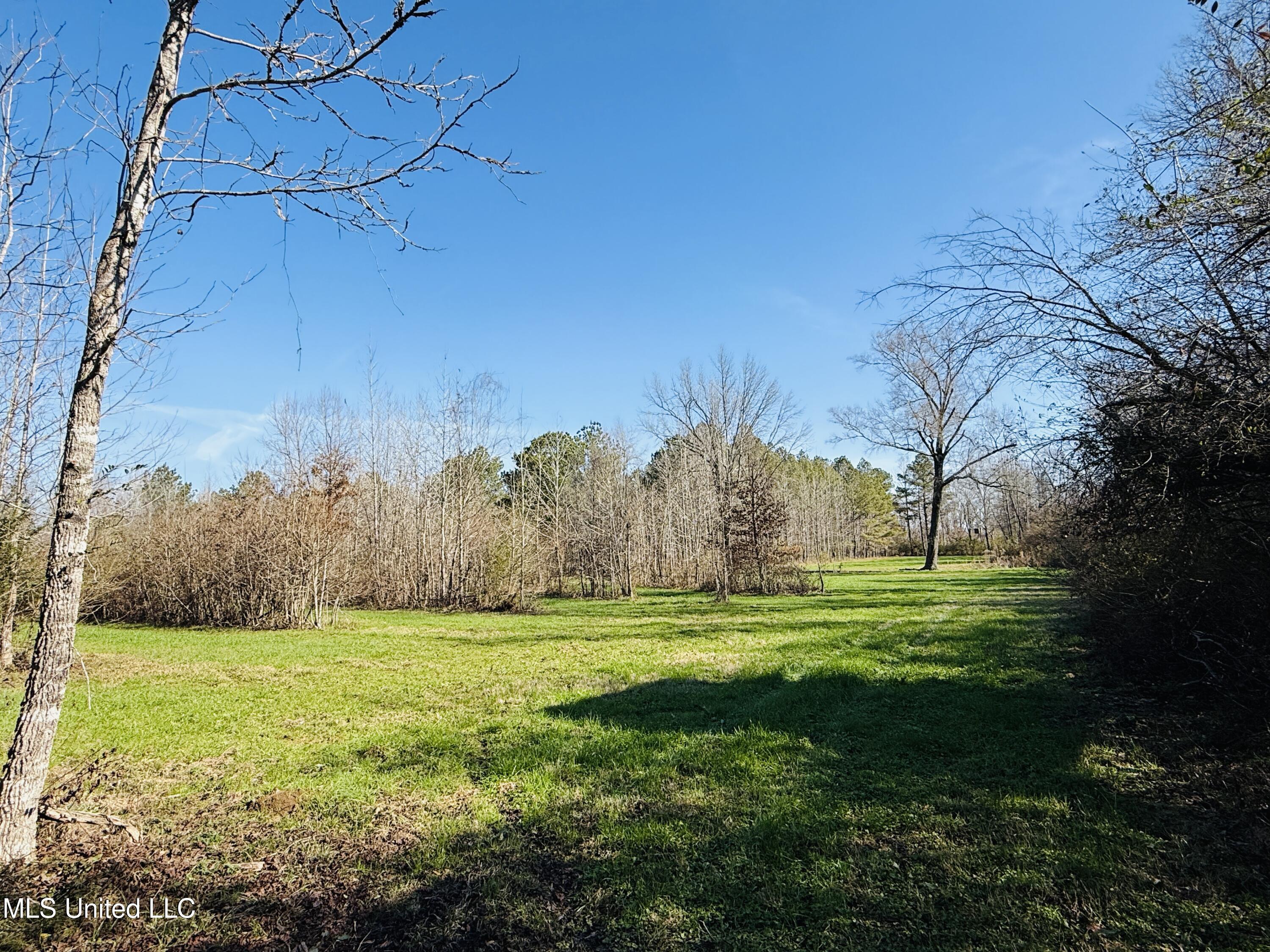 13572 Highway 51, Goodman, Mississippi image 48