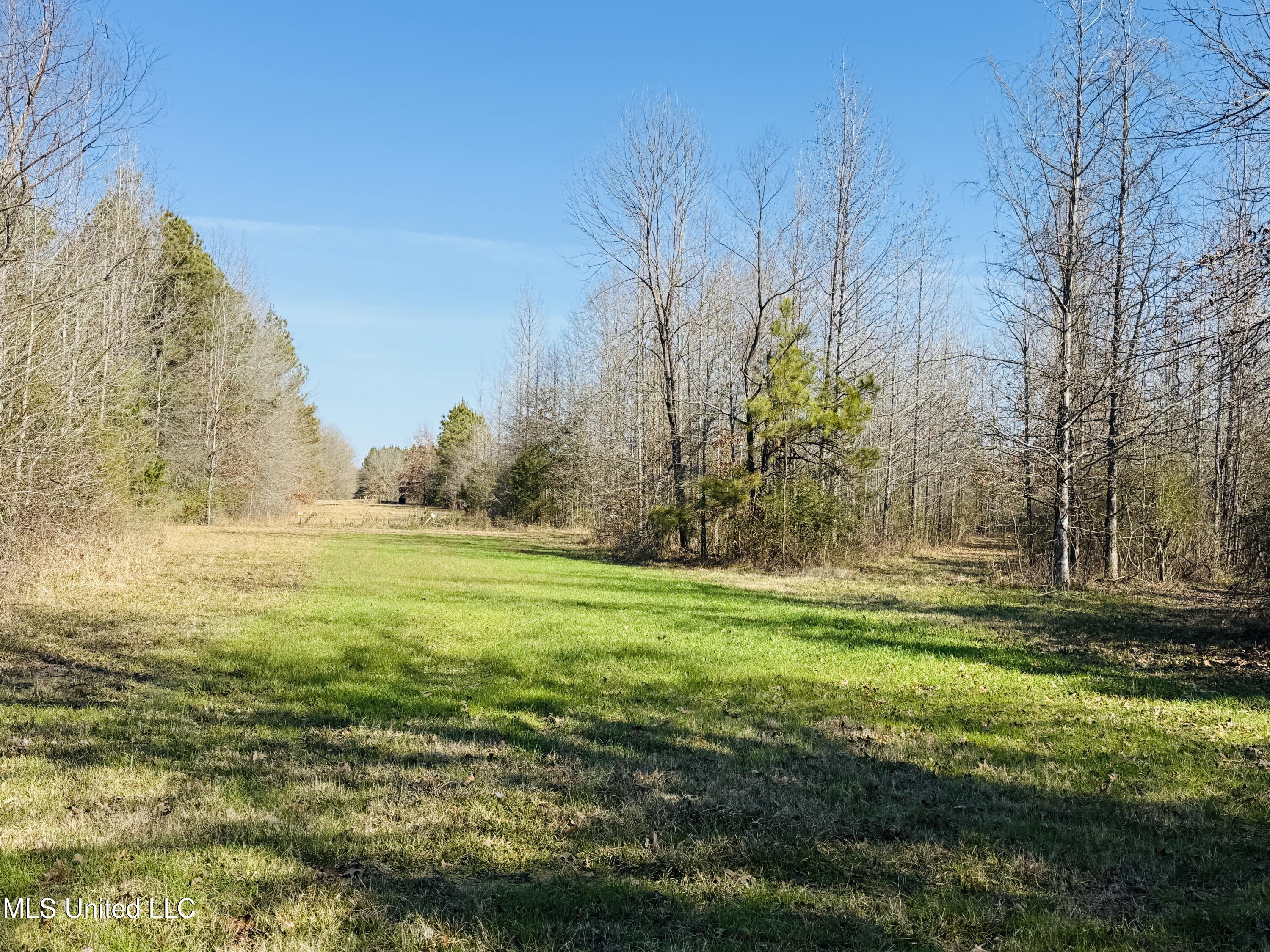 13572 Highway 51, Goodman, Mississippi image 39