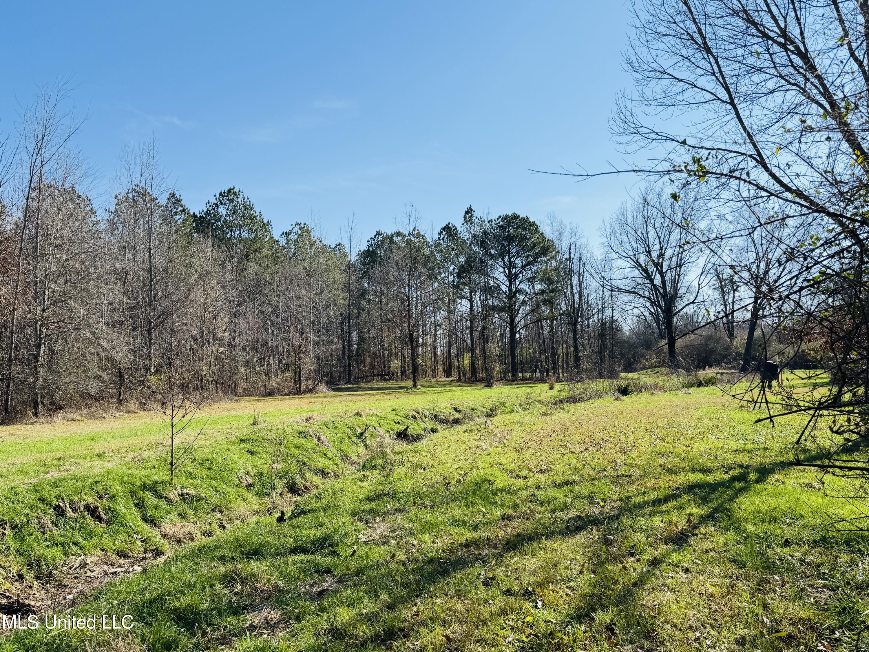 13572 Highway 51, Goodman, Mississippi image 35