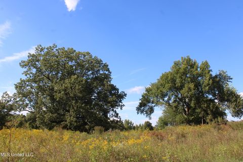 Vacant Land For Sale - 5300 Desoto Road<br/> Walls, MS 38680