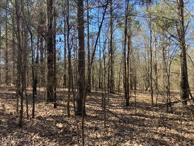 Pigeon Roost, Coldwater, Mississippi image 12