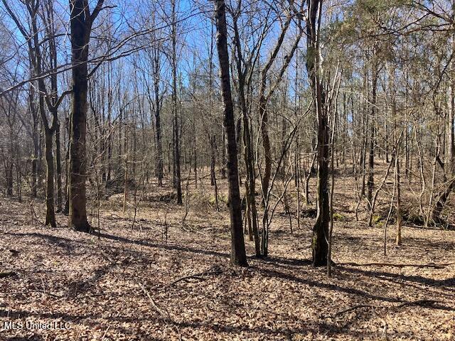 Pigeon Roost, Coldwater, Mississippi image 7