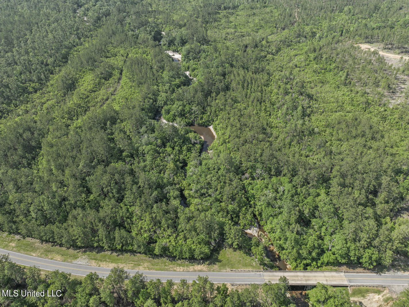 Ramsey Road, Saucier, Mississippi image 6