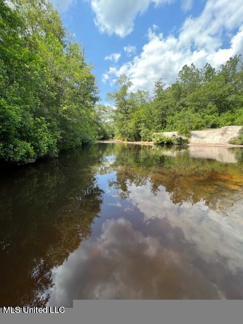 Ramsey Road, Saucier, Mississippi image 8