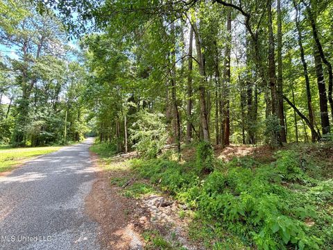 Vacant Land For Sale - SE Freeman Road<br/> Summit, MS 39666