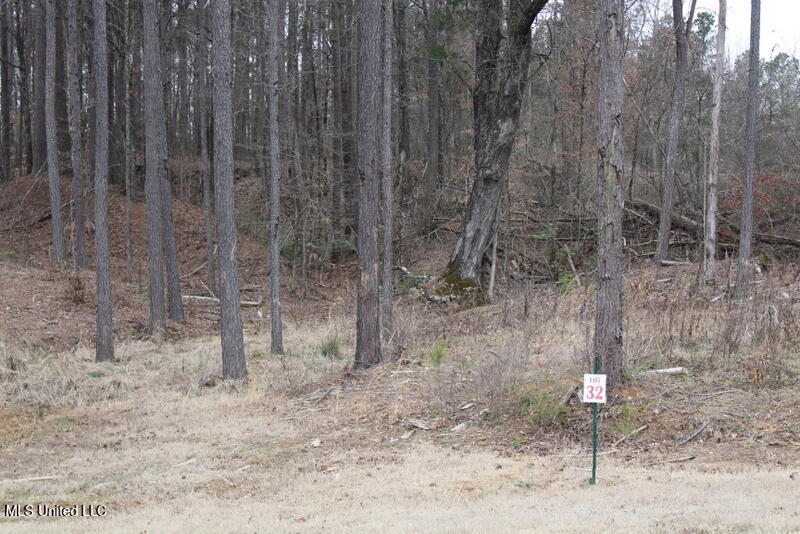 137 Pine Acres Drive, Byhalia, Mississippi image 1