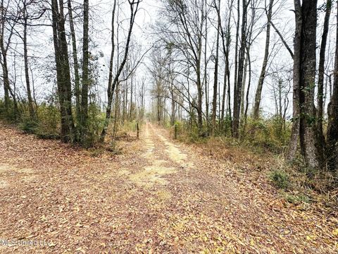 Vacant Land For Sale - 04 Sidney Ellzey Road<br/> Tylertown, MS 39667