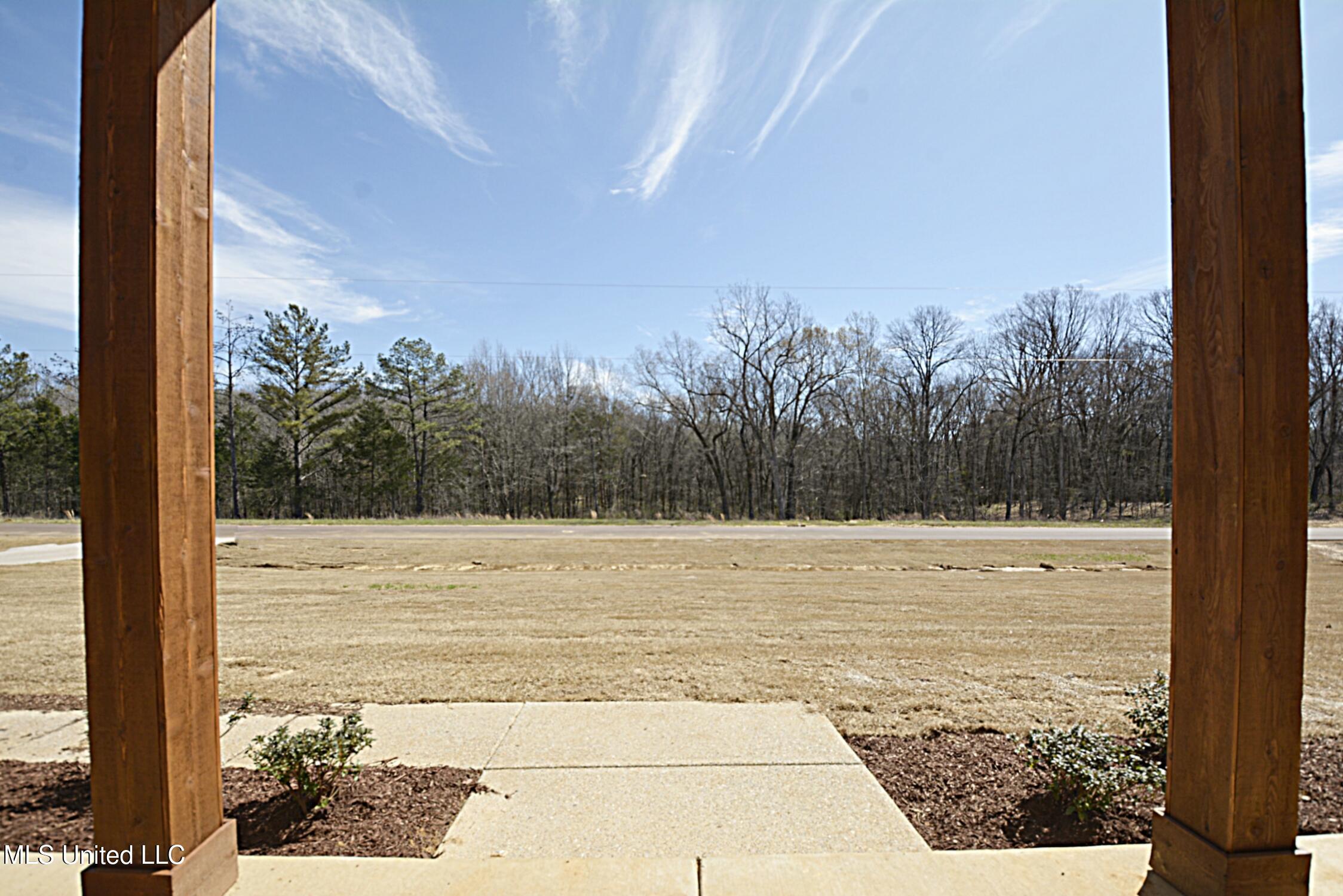 8229 Milne Way, Hernando, Mississippi image 36