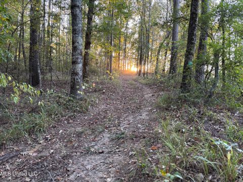 Vacant Land For Sale - 00 Simpson Road<br/> Pickens, MS 39146