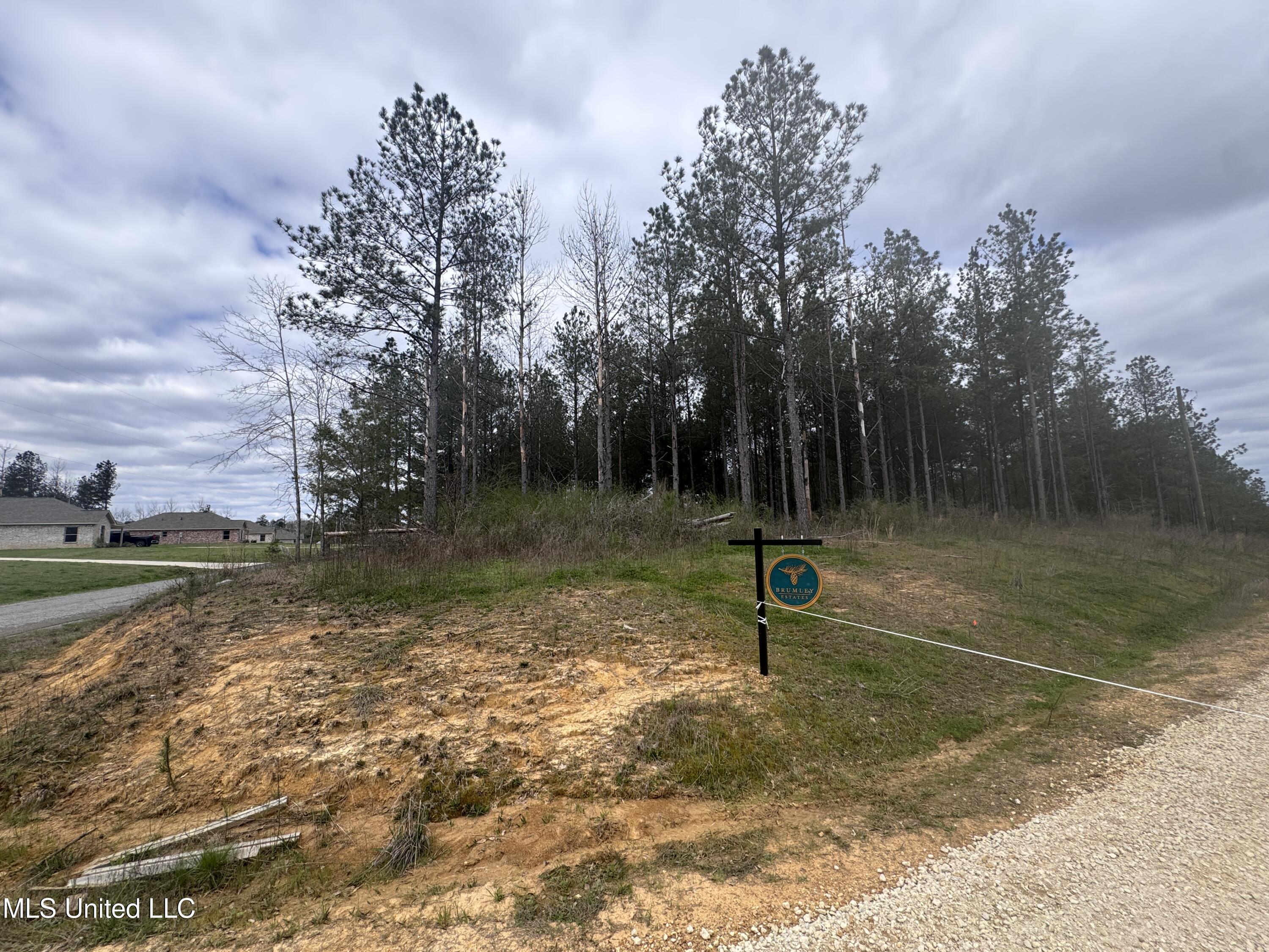 Brumley Lane, Mize, Mississippi image 3
