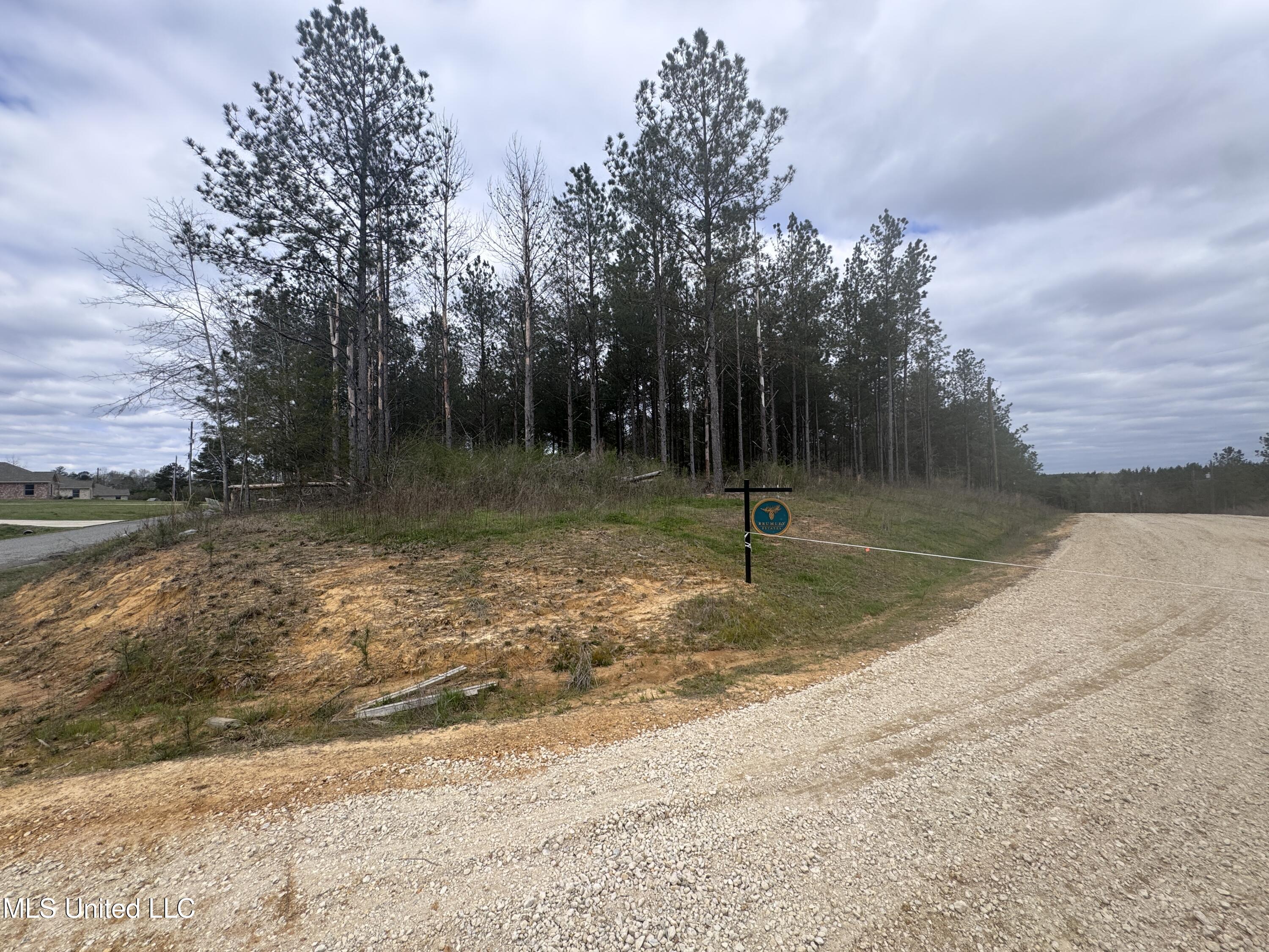 Brumley Lane, Mize, Mississippi image 1