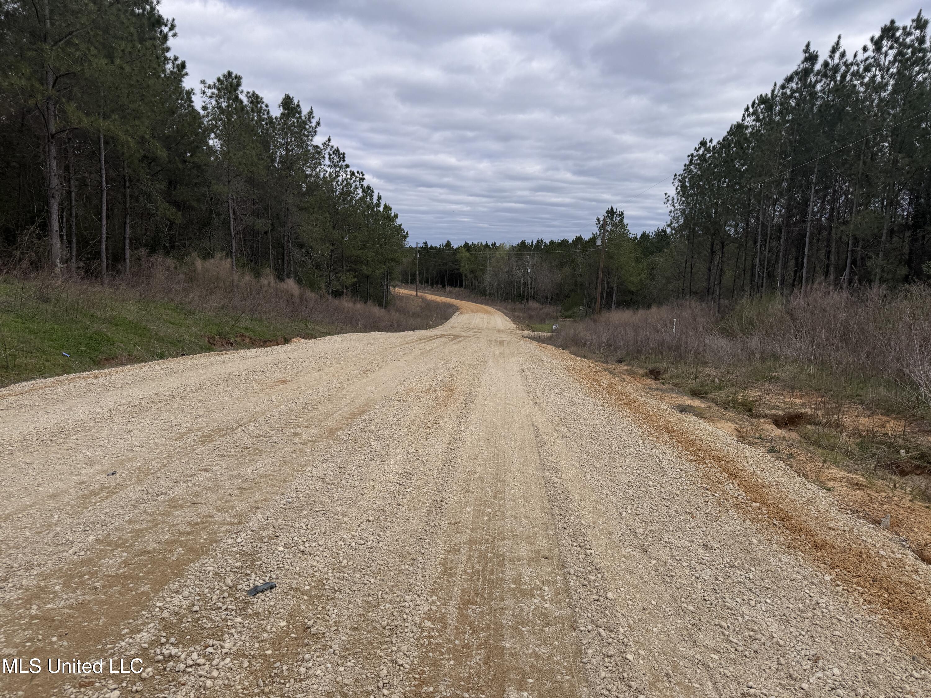 Brumley Lane, Mize, Mississippi image 4