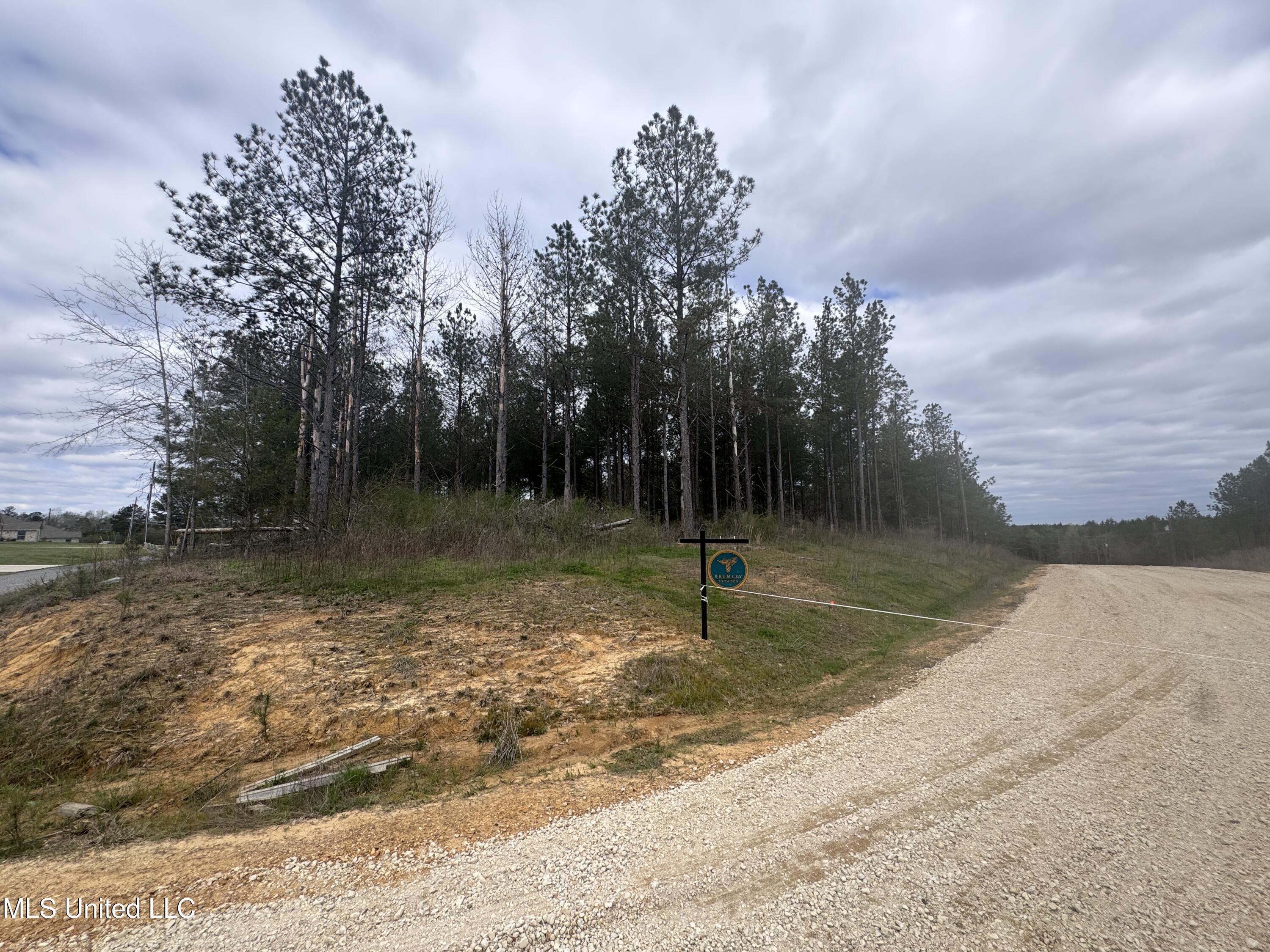 Brumley Lane, Mize, Mississippi image 2