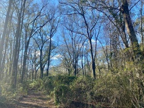Vacant Land For Sale - Morgantown Road<br/> Pike County, McComb, MS 39648