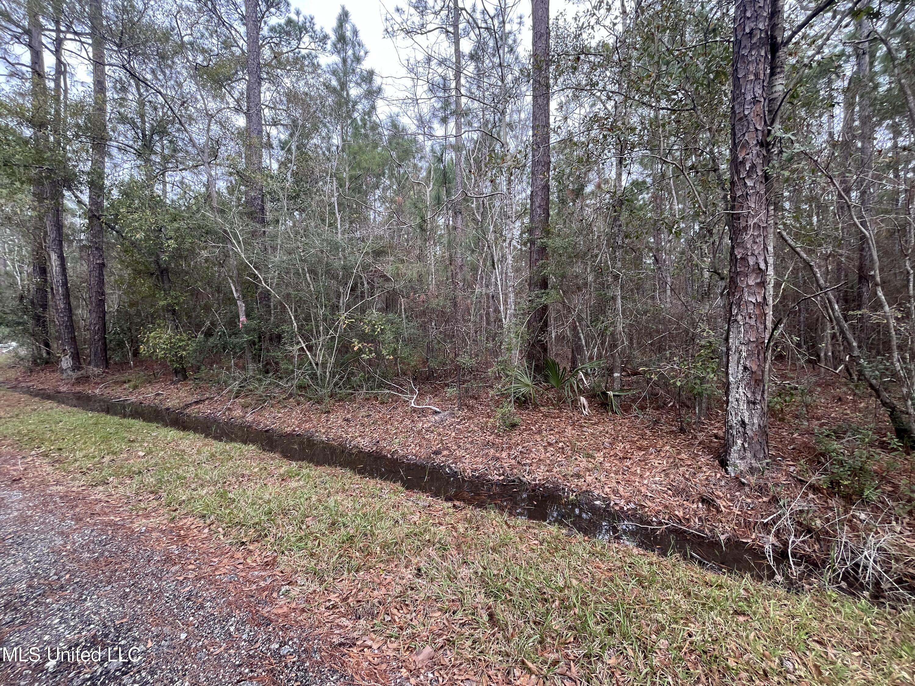 4010 10th Street, Bay Saint Louis, Mississippi image 3