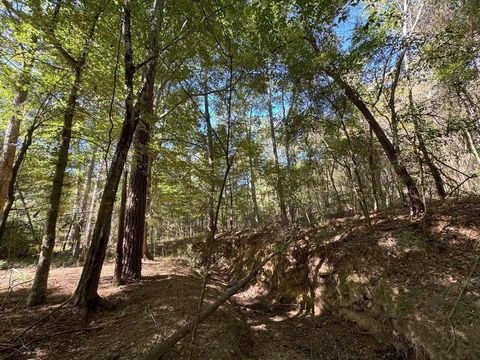 Vacant Land For Sale - TDB Delaware Avenue<br/> Pike County, McComb, MS 39648