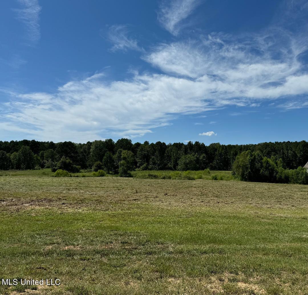 Clark Stables Rd Road, Brandon, Mississippi image 1