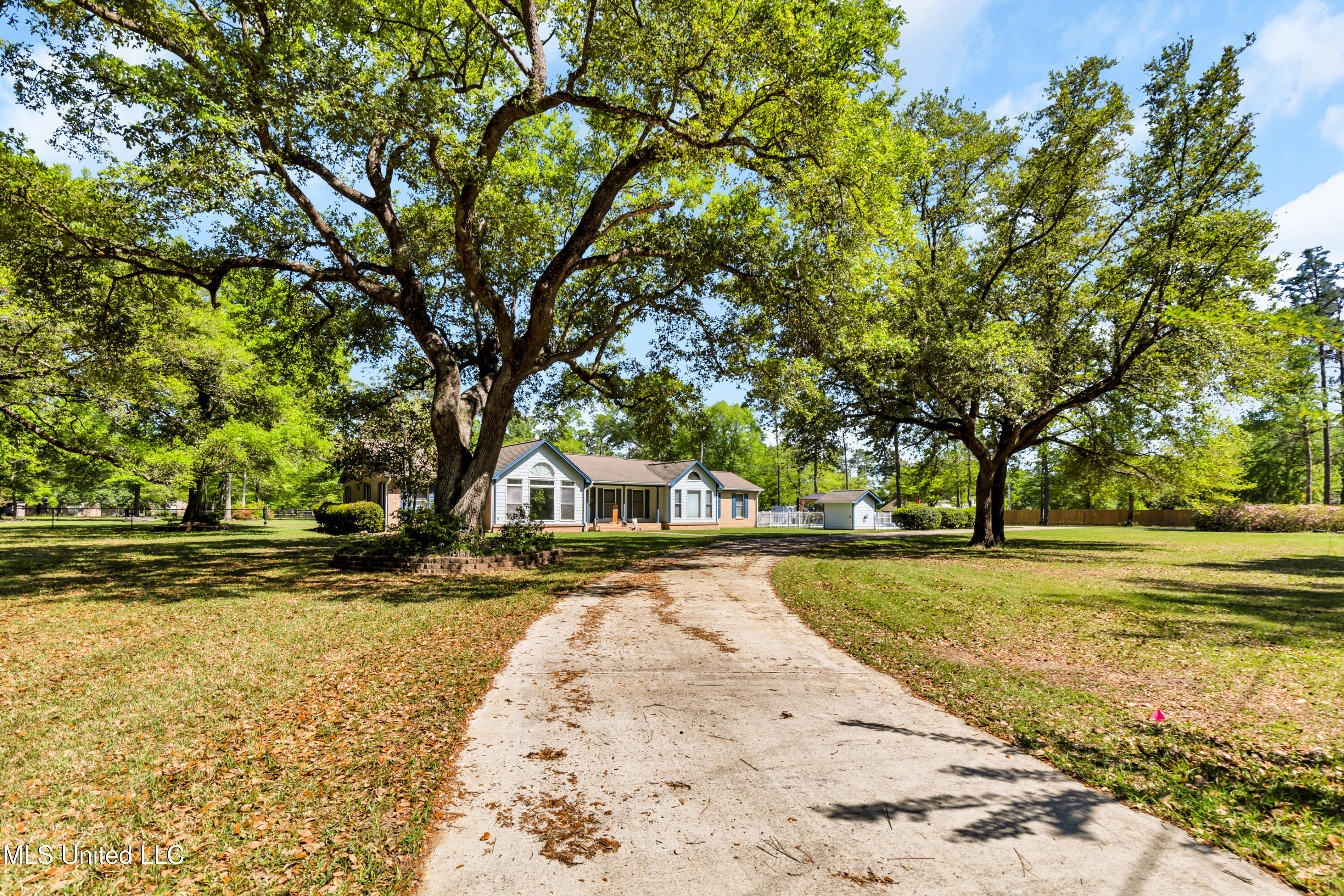 16101 Allie Byrd Road, Vancleave, Mississippi image 3