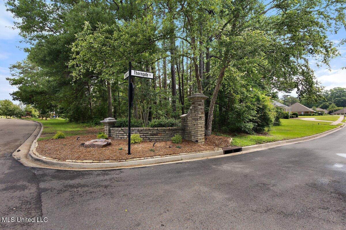 Thorngate Drive, Brandon, Mississippi image 1