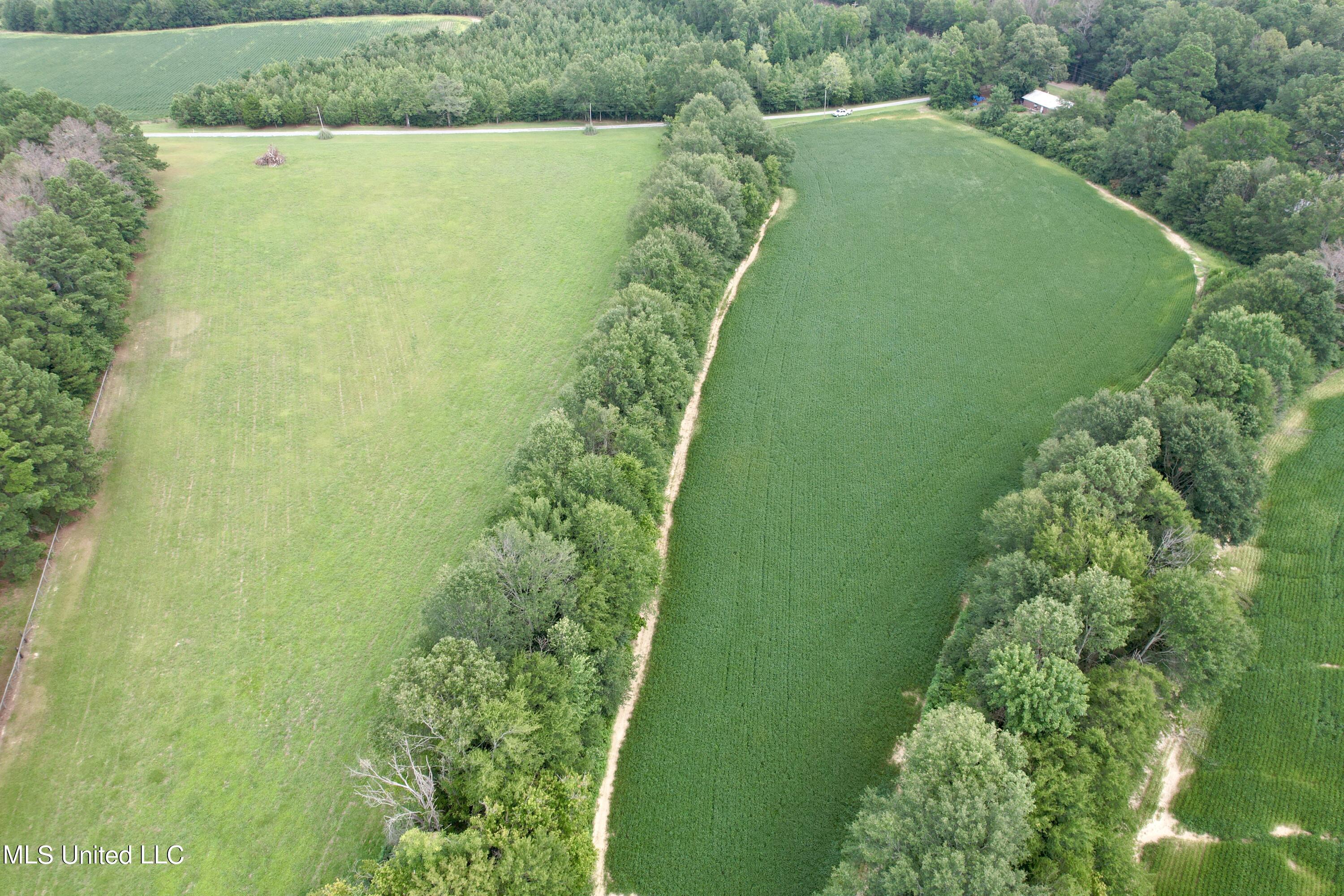 Leesburg Road, Pelahatchie, Mississippi image 1