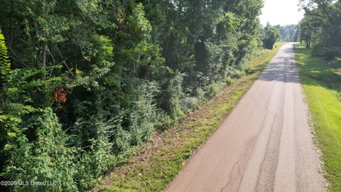 Vacant Land For Sale - Dampeer Road<br/> Madison County, Canton, MS 39046