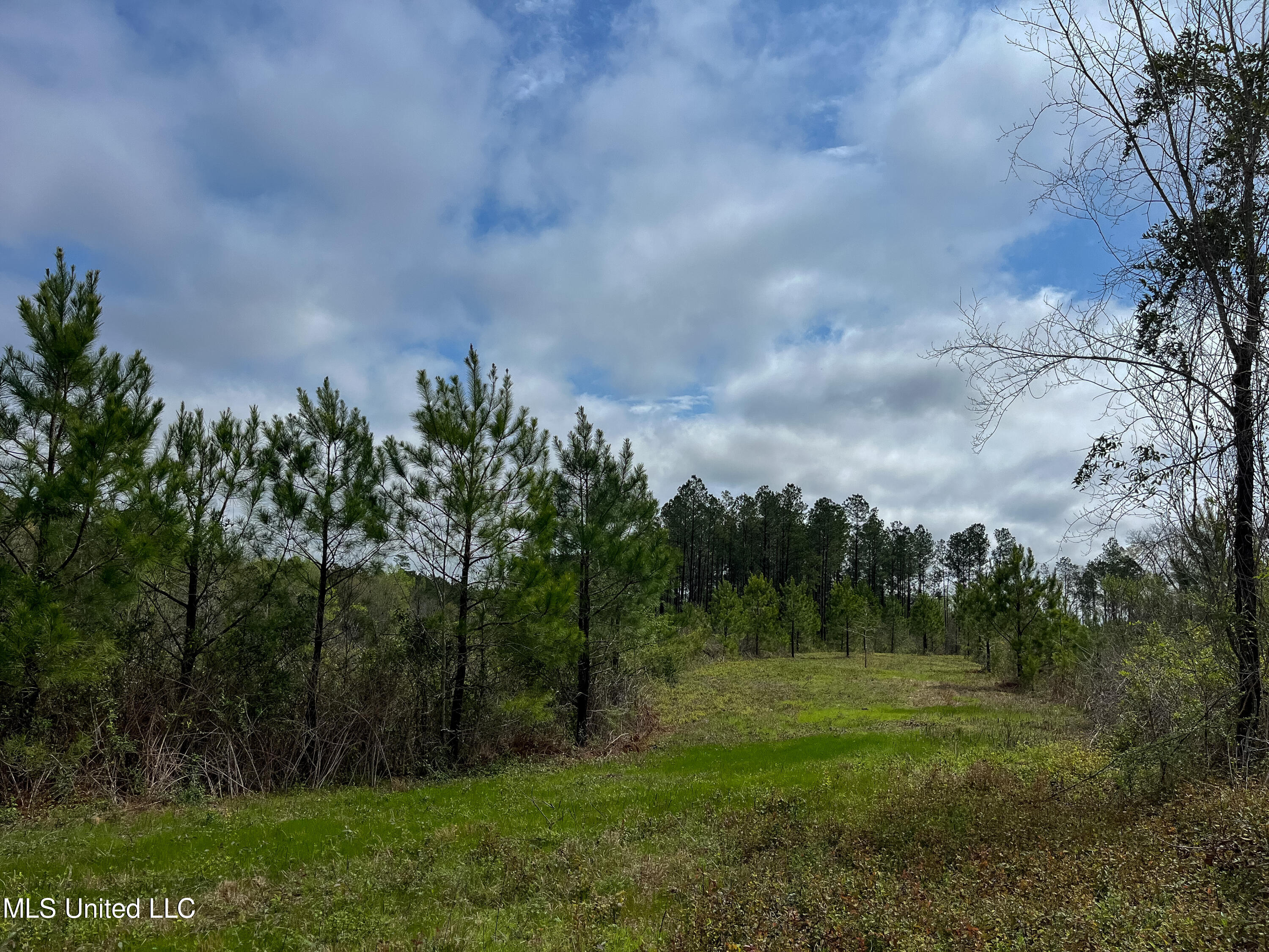 01 Pine Bluff Road, Decatur, Mississippi image 32