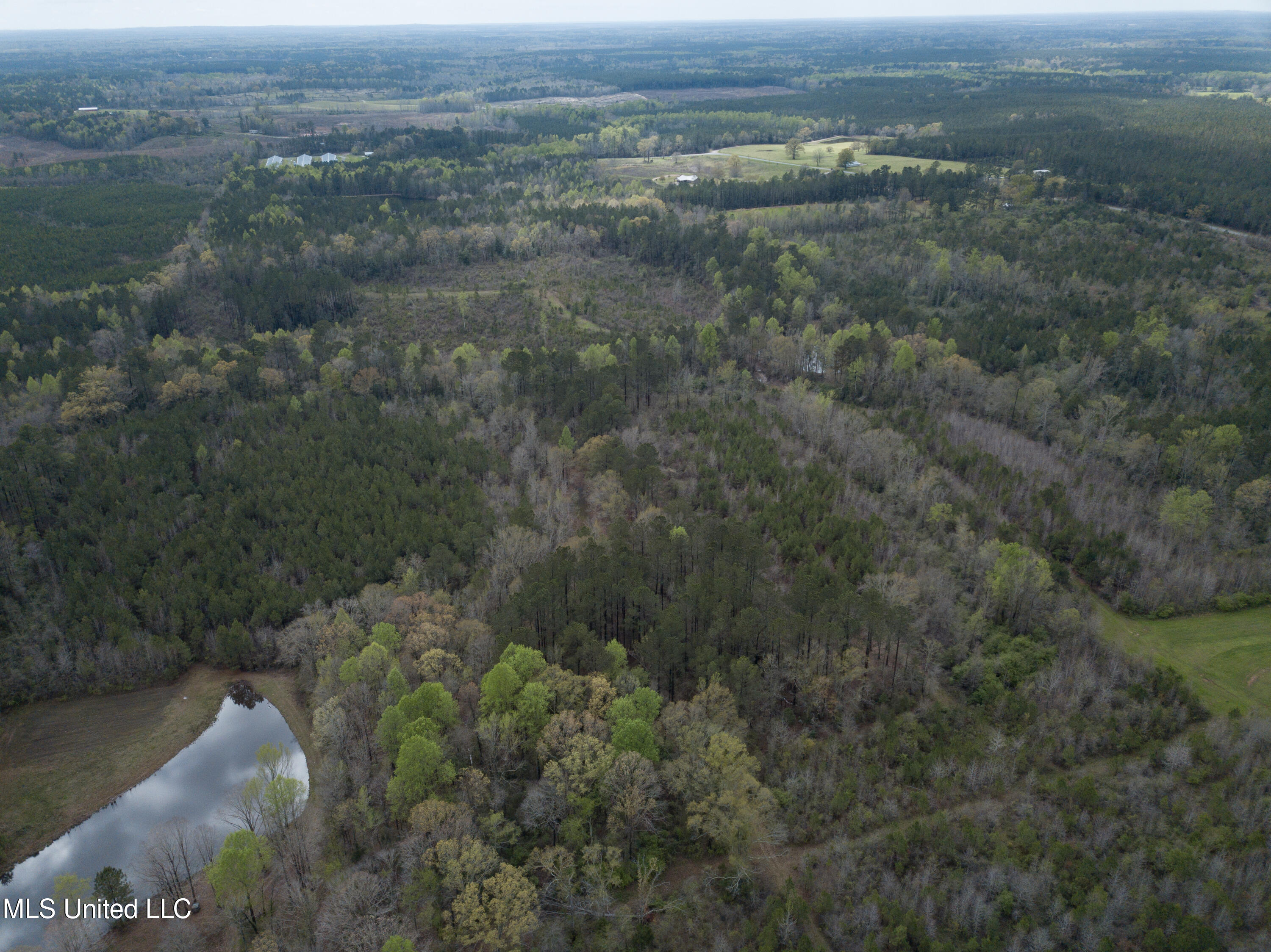 01 Pine Bluff Road, Decatur, Mississippi image 7