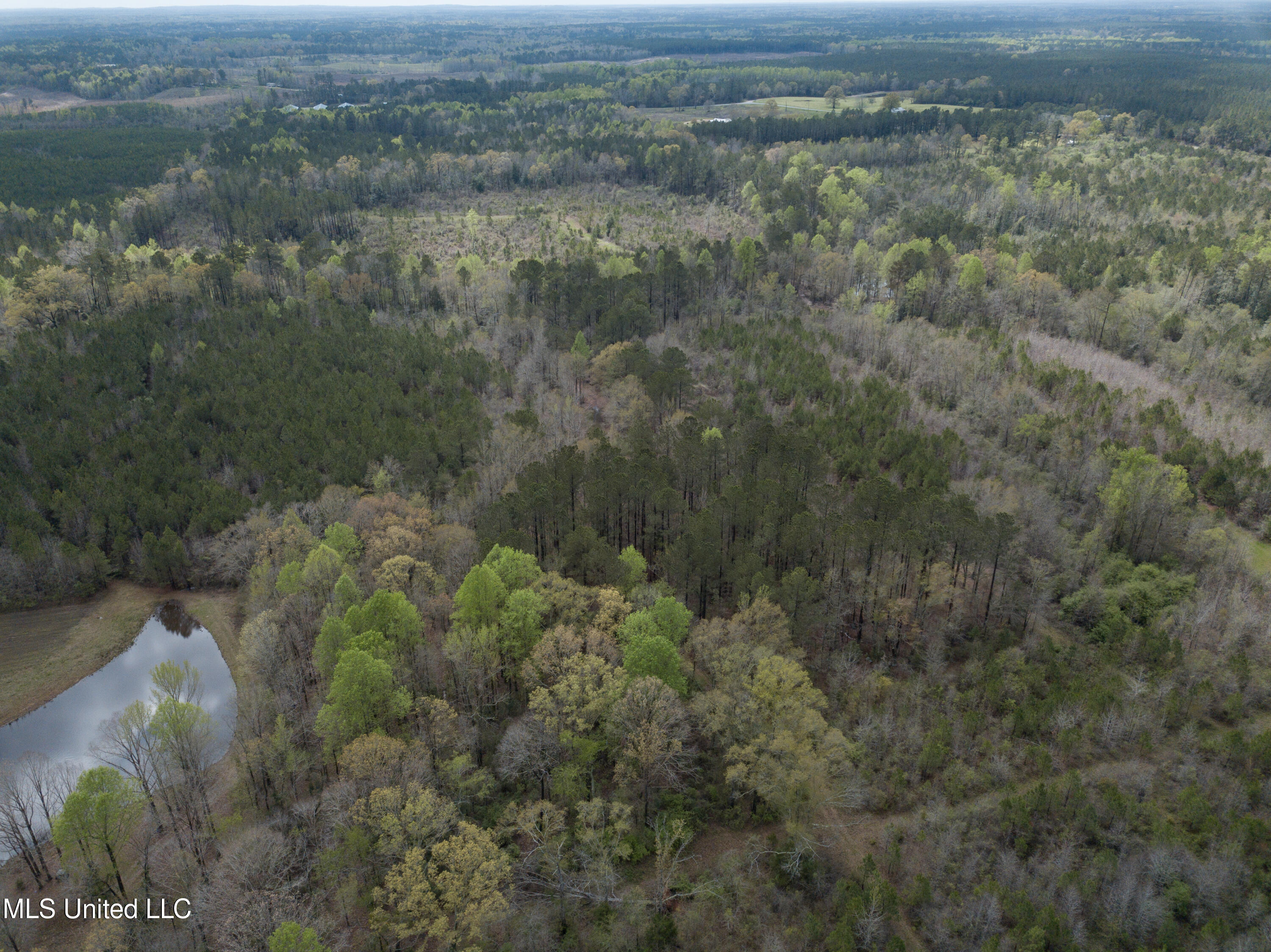 01 Pine Bluff Road, Decatur, Mississippi image 9